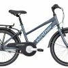 Winther 20″ Pige 3-gear (300) Mat Lys Petrol/blå -cykel butik crs media 16