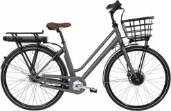 Raleigh Sussex E1 Dame 7-gear 48 Cm – Matgrå