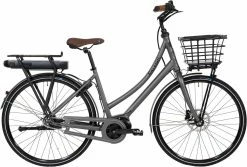 Raleigh Sussex E2 Dame 7-gear 48 Cm – Matgrå