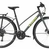Trek FX 2 Disc EQ Stagger Dame Str L – Satin Lithium Grey -cykel butik crs media 9583